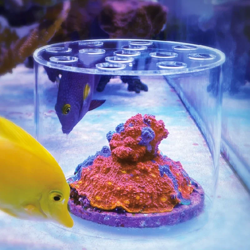 Seaweed Snack - Vastocean Aquarium Acryl Koraal Feeder Kap
