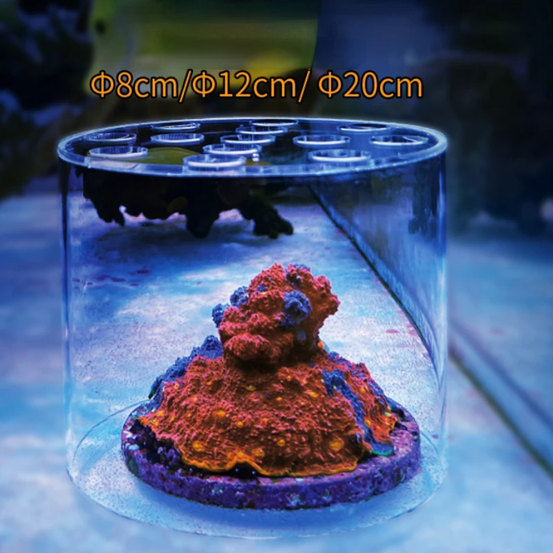 Vastocean Aquarium Acryl Koraa - Seaweed Snack recensie en prijs