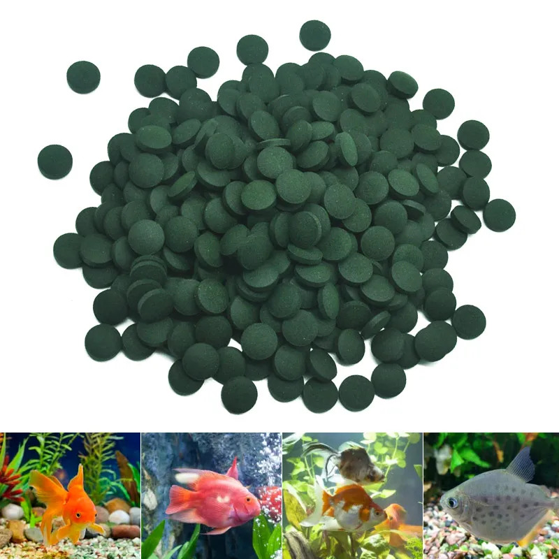 50-300 Stuks Hoge Zuiverheid S - Seaweed Snack recensie en prijs