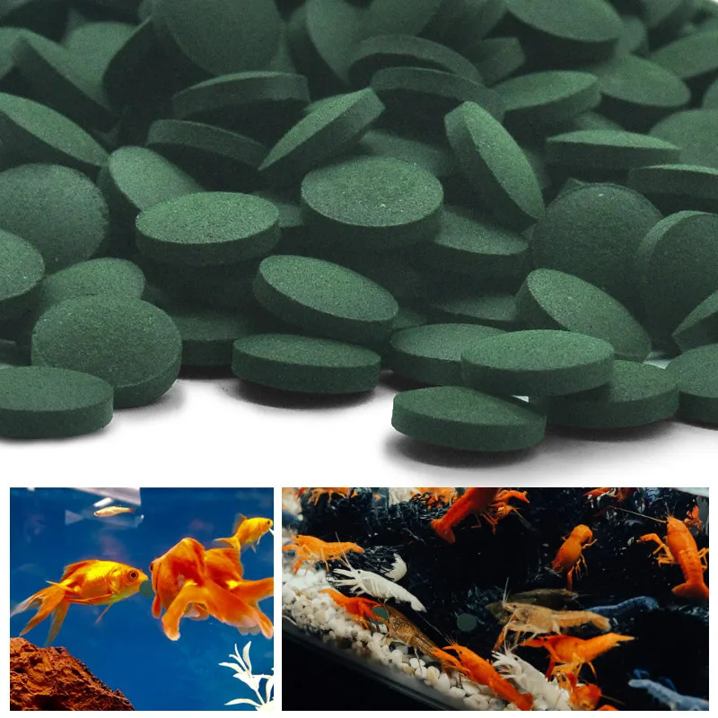 50-300 Stuks Hoge Zuiverheid S - Seaweed Snack recensie en prijs